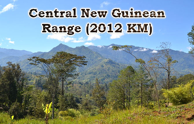 New Guinea Highlands