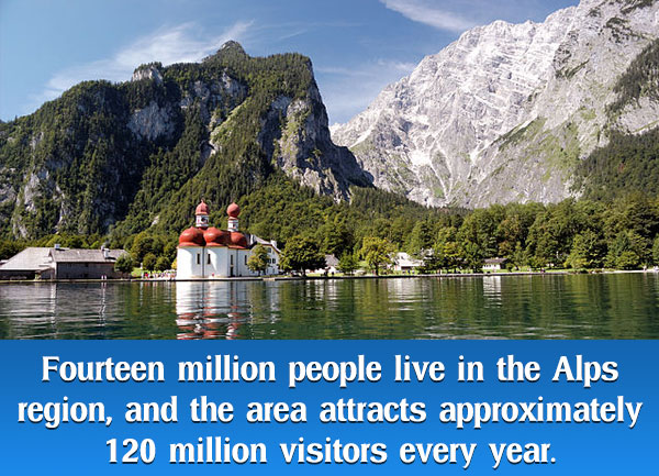 Alps-visitors