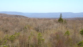 Negro Mountain (Maryland and Pennsylvania, USA)
