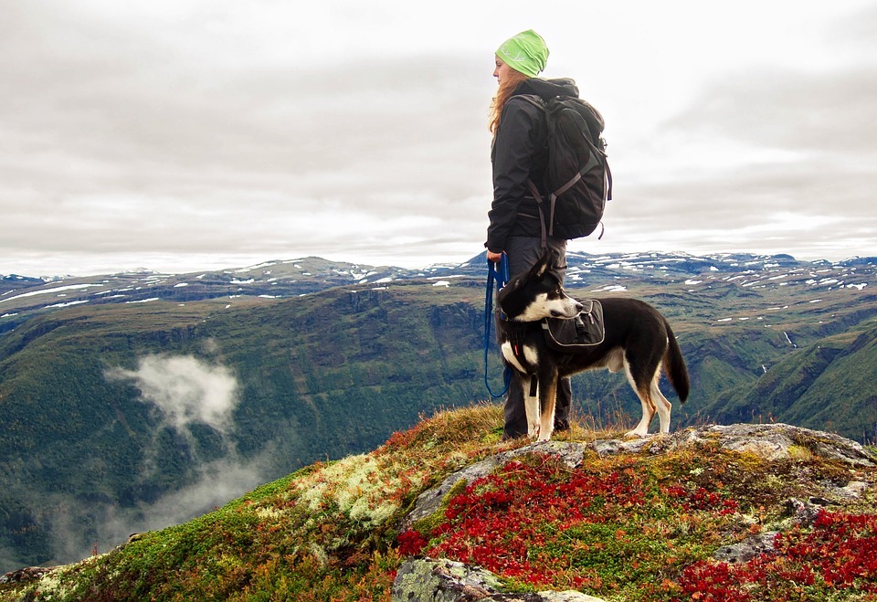 Tips for Hiking with Dogs