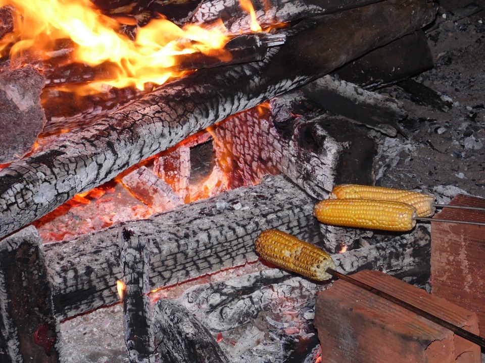 Roasted Campfire Corn