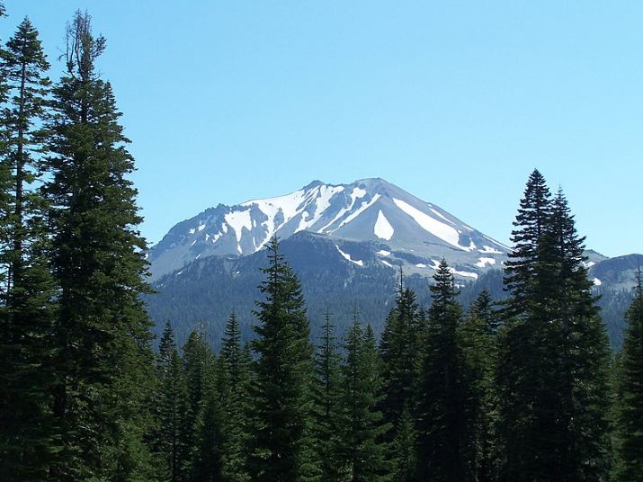 A view of Mount Lassen, surrounded by Pine Trees