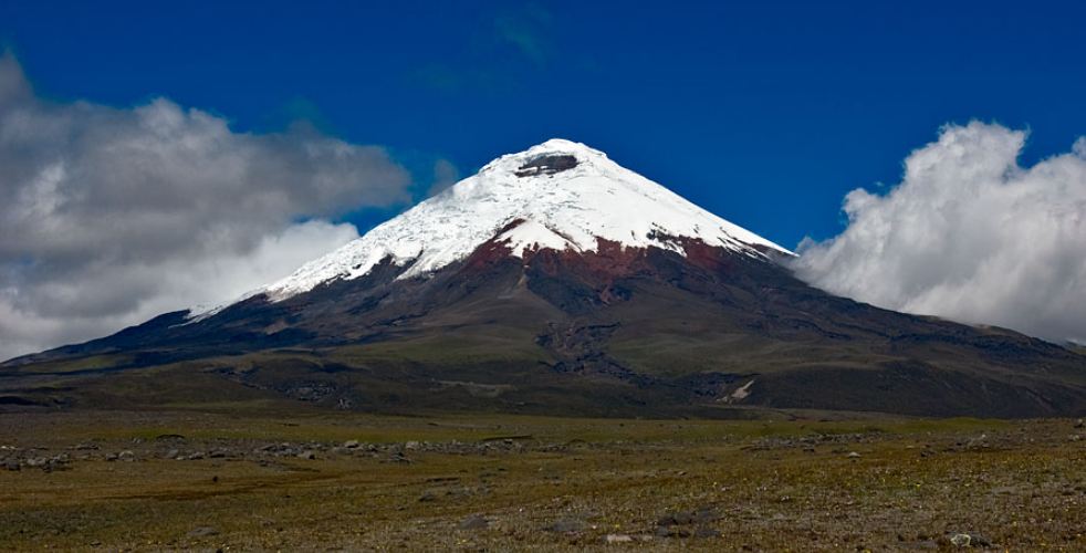 Cotopaxi as viewed from a high plain