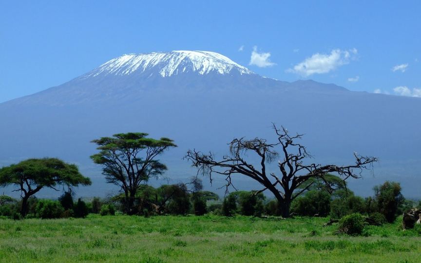 Landscape of Kilimanjaro