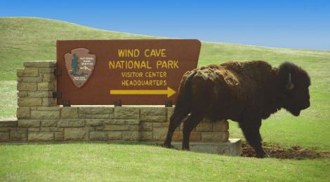 The Park’s native bison welcomes visitor at the park’s entrance sign.