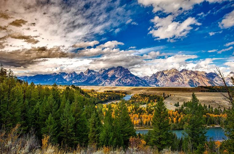 Green and yellow trees and mountains of Grand Teton National Park