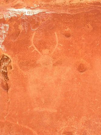 Petroglyph carvings on an orange rock along the Capitol Gorge trail