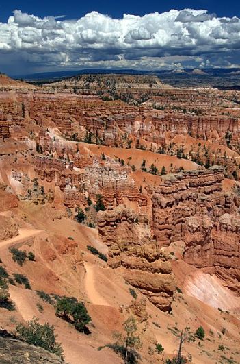 View of the Bryce Canyon National Park