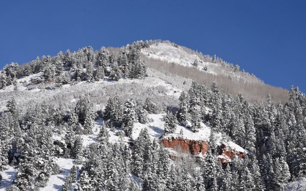 Telluride Colorado Ski Resort Terrains Treelines