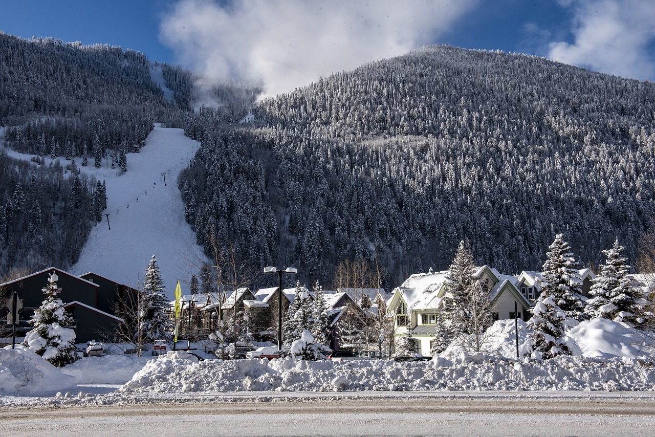 Telluride Colorado Ski Resort Outdoors Lodges