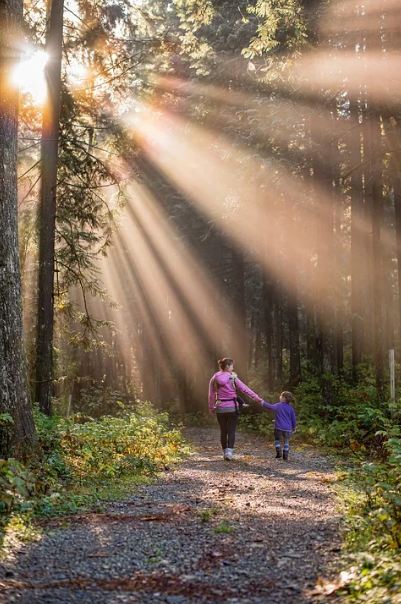 mother and daughter, forest, trees, pathway, plants, sunlight