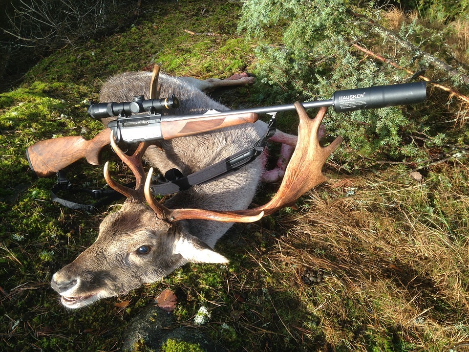 Top Deer Attractants for Shotgun Hunting