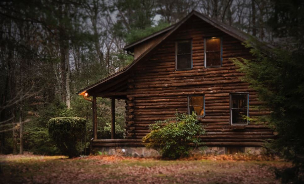 brown cabin in the woods on daytime surrounded by trees and bushes