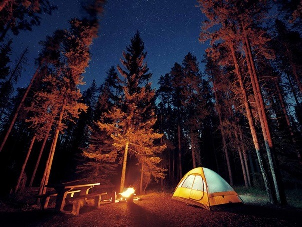 Key reasons why your smartphone can come in handy while camping